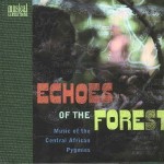 Echoes Of The Forest